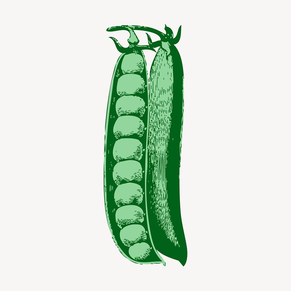 Peas clipart, vegetable illustration vector. Free public domain CC0 image.