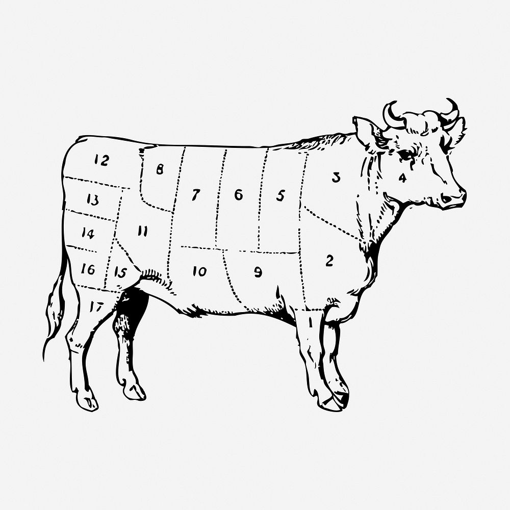 Beef diagram hand drawn illustration. Free public domain CC0 image.