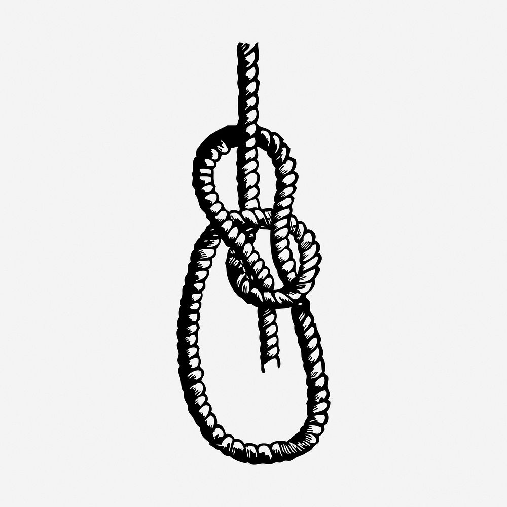 Bowline knot rope hand drawn illustration. Free public domain CC0 image.