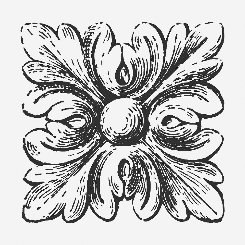Vintage floral ornament hand drawn illustration. Free public domain CC0 image.