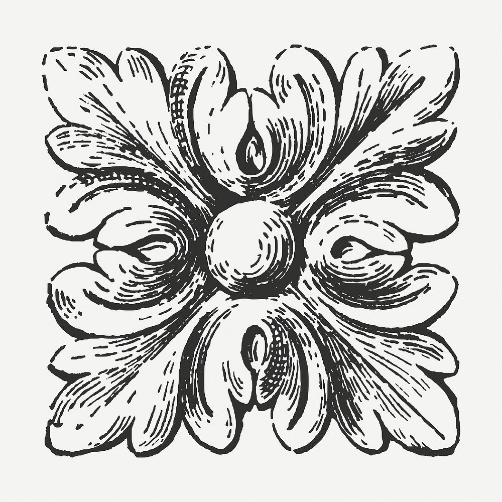 Floral ornament drawing clipart, vintage illustration psd. Free public domain CC0 image.