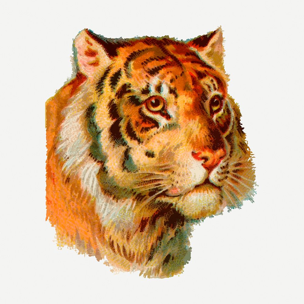 Tiger face vintage clipart, wild animal illustration psd. Free public domain CC0 image.