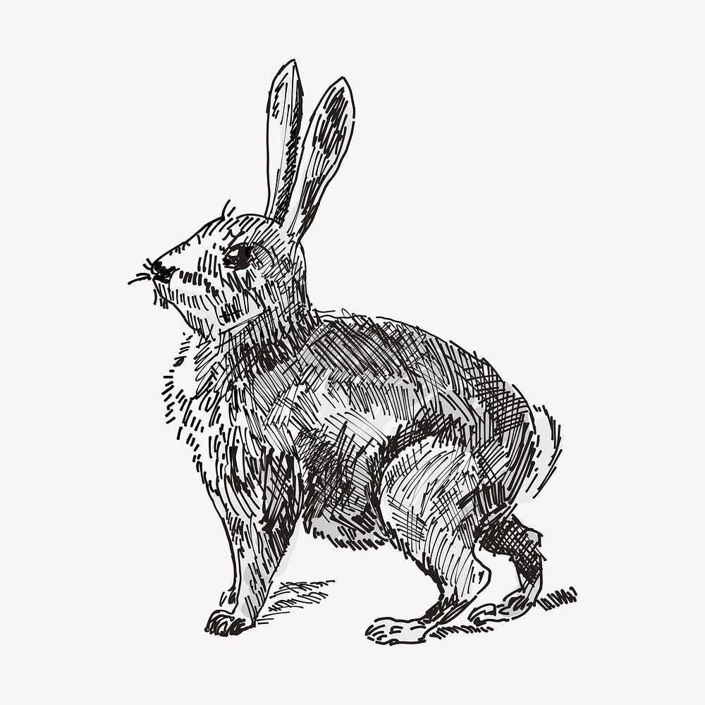 Rabbit hand drawn clipart, animal illustration vector. Free public domain CC0 image.