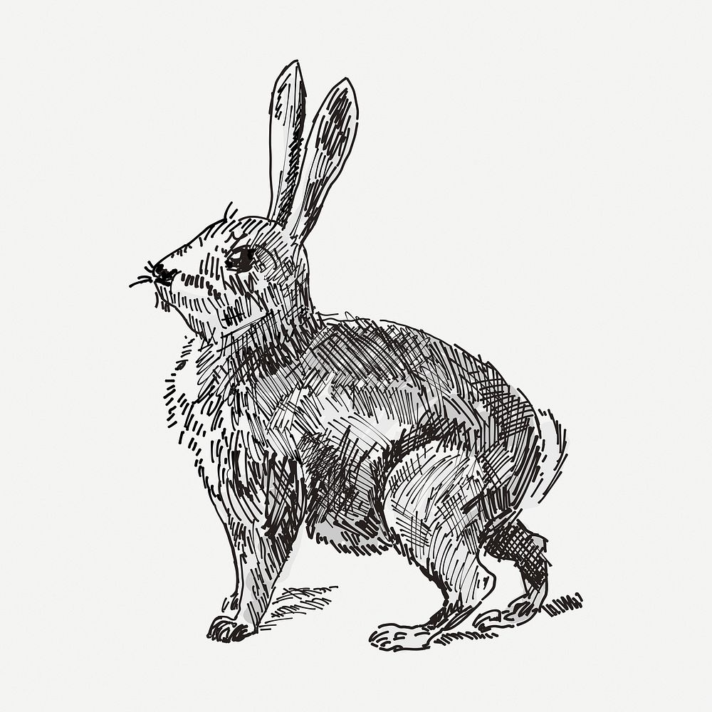 Rabbit drawing clipart, animal illustration psd. Free public domain CC0 image.