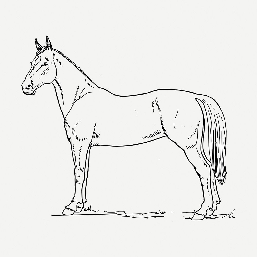 Horse drawing clipart, animal illustration psd. Free public domain CC0 image.