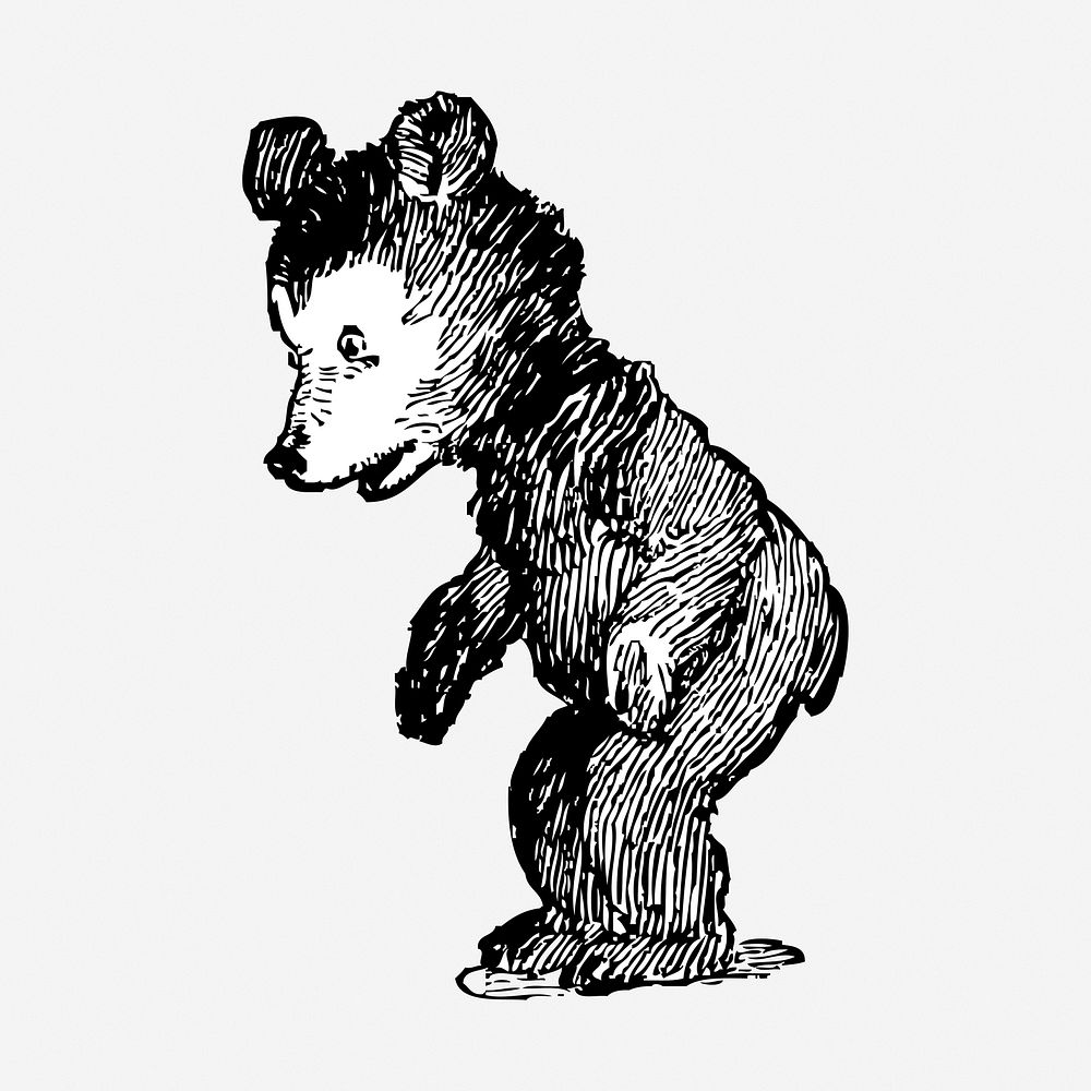 Standing bear cub hand drawn illustration. Free public domain CC0 image.