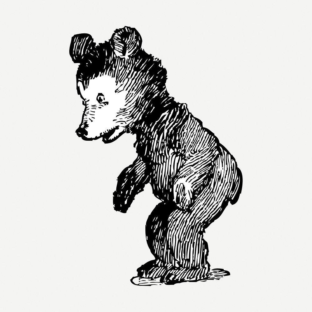 Baby bear drawing clipart, animal illustration psd. Free public domain CC0 image.