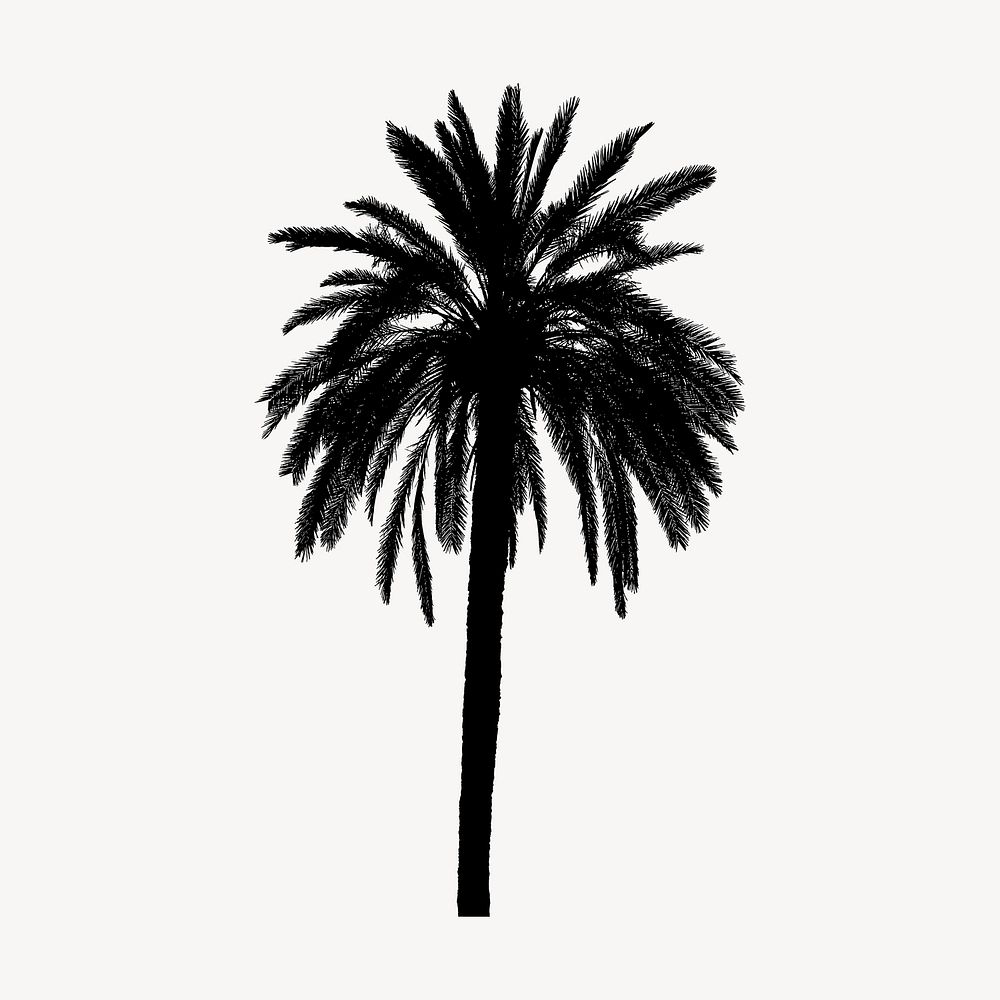 Palm tree silhouette clipart, nature illustration in black. Free public domain CC0 image.