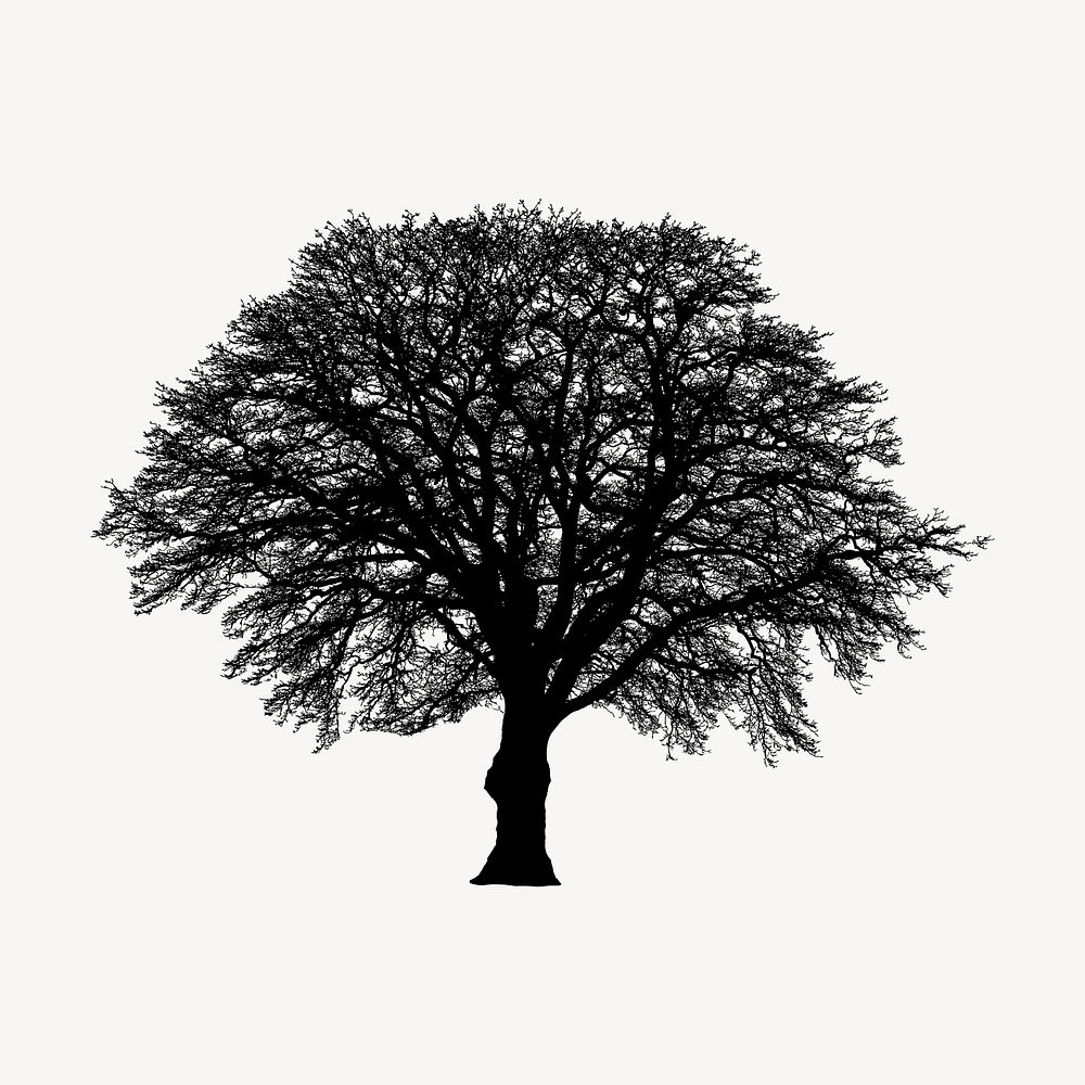 Tree silhouette collage element, botanical illustration psd. Free public domain CC0 image.