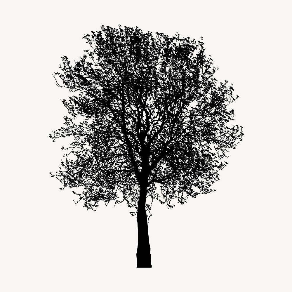 Birch tree silhouette collage element, nature illustration psd. Free public domain CC0 image.