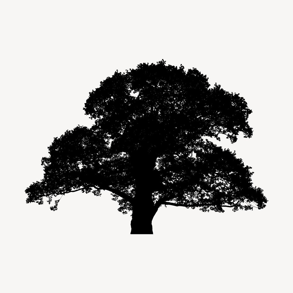 Oak tree silhouette clipart, nature illustration in black. Free public domain CC0 image.