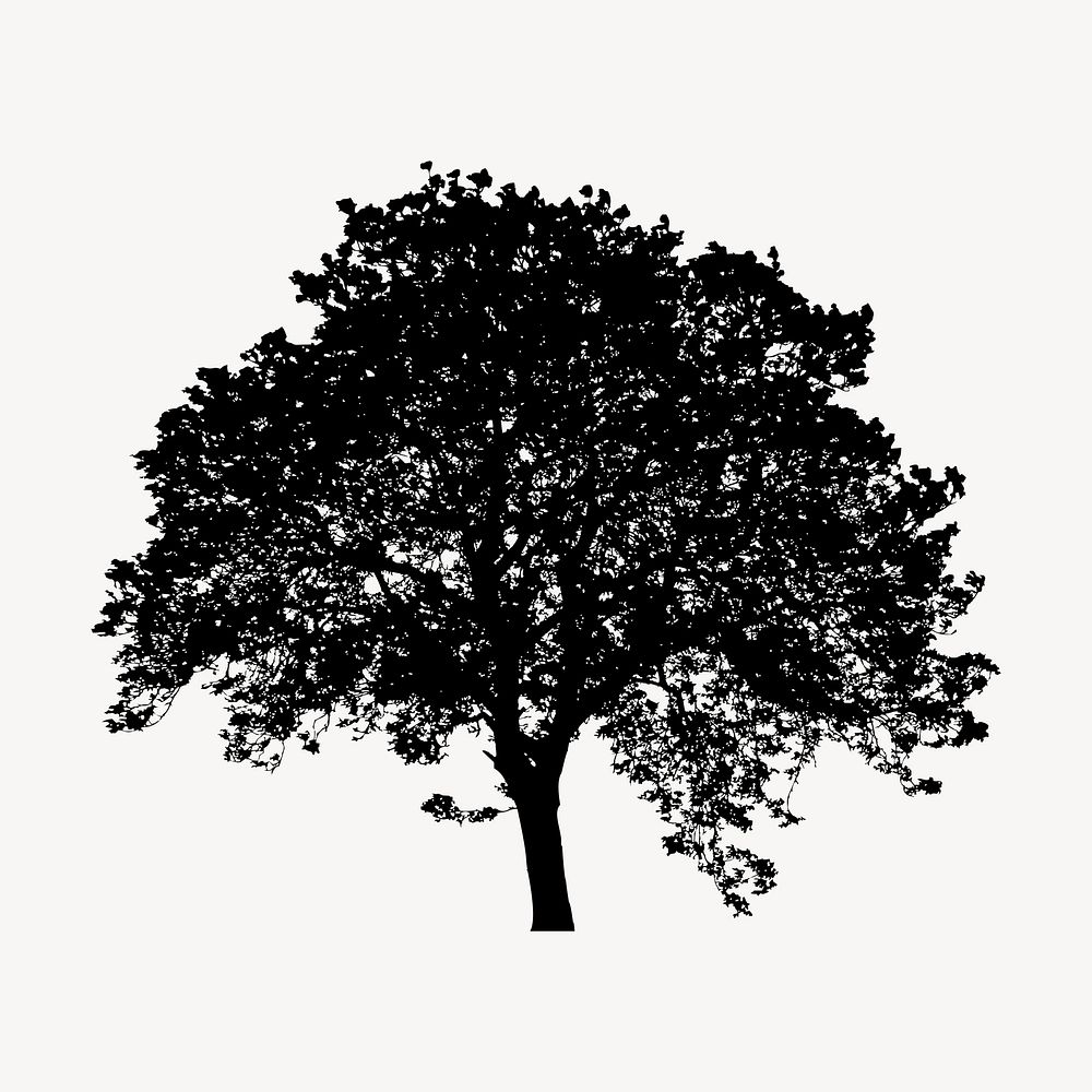 Beech tree silhouette collage element, nature illustration psd. Free public domain CC0 image.