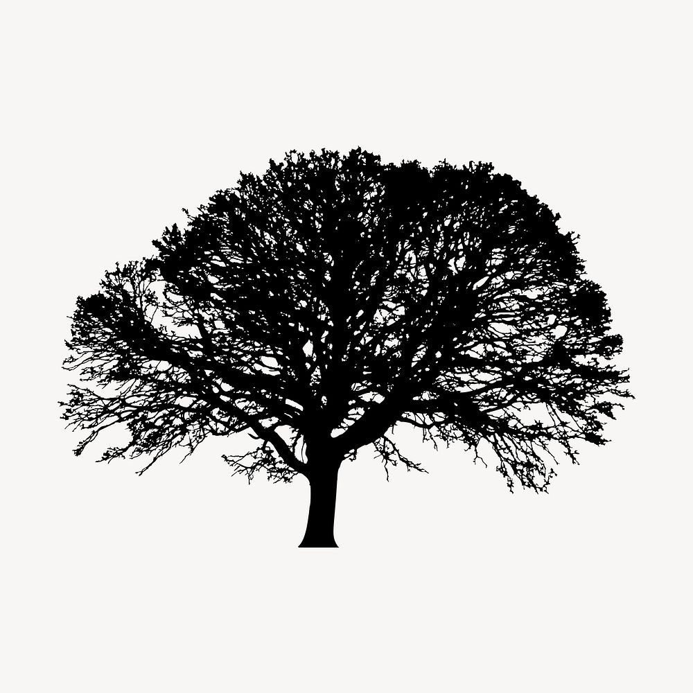 Oak tree silhouette clipart, nature illustration in black vector. Free public domain CC0 image.