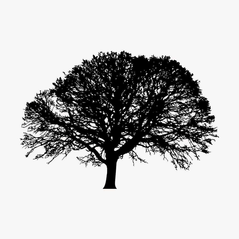 Oak tree silhouette clipart, botanical illustration in black. Free public domain CC0 image.