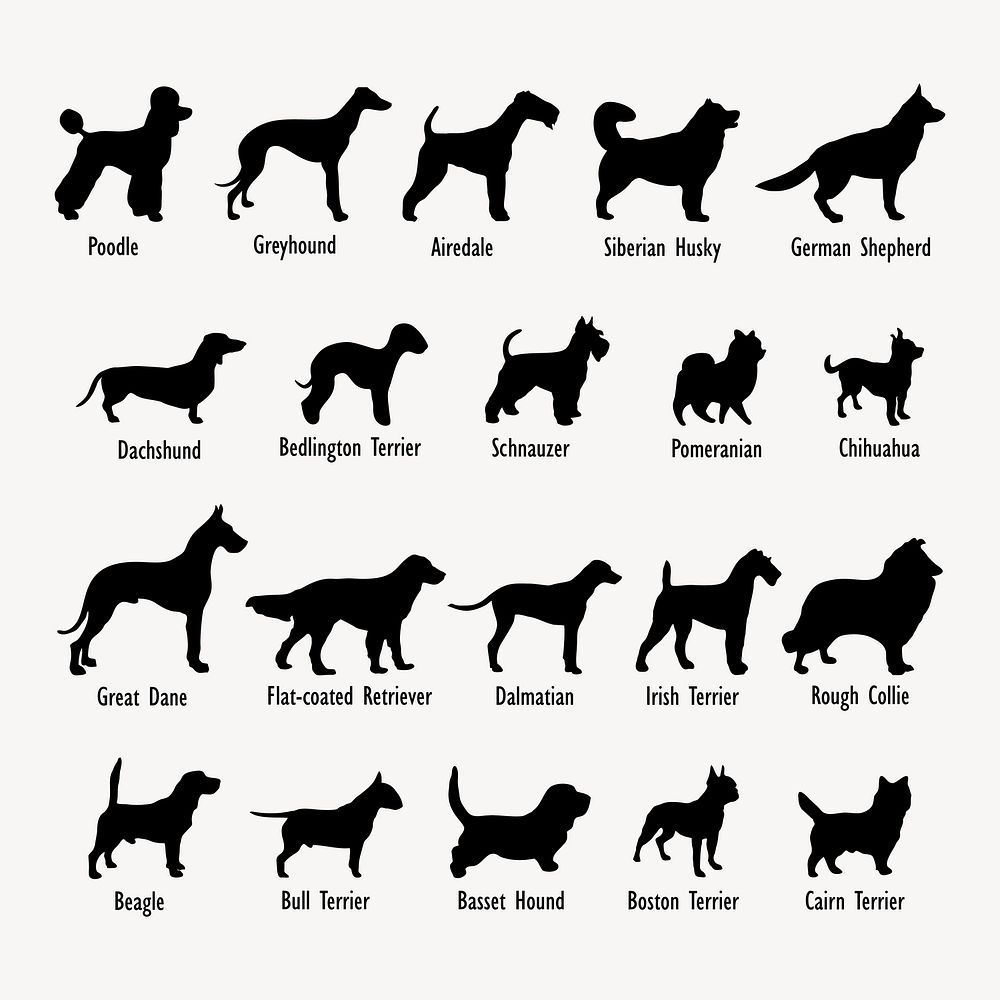 Dog breed names silhouette clipart, animal illustration in black set. Free public domain CC0 image.