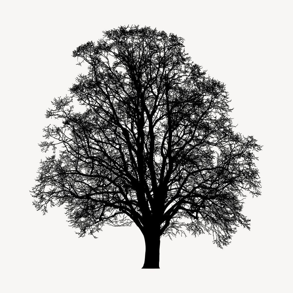 Beech tree silhouette collage element, nature illustration psd. Free public domain CC0 image.