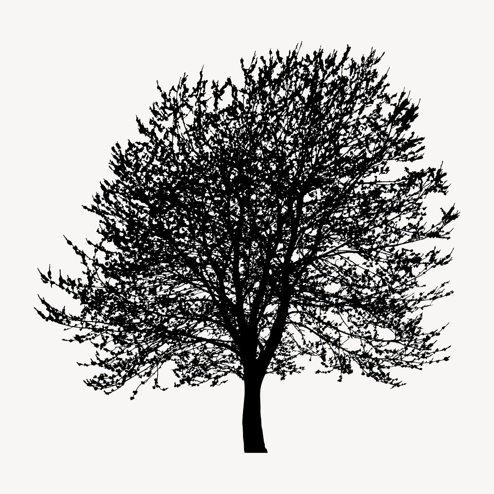 Tree silhouette clipart, botanical illustration in black vector. Free public domain CC0 image.