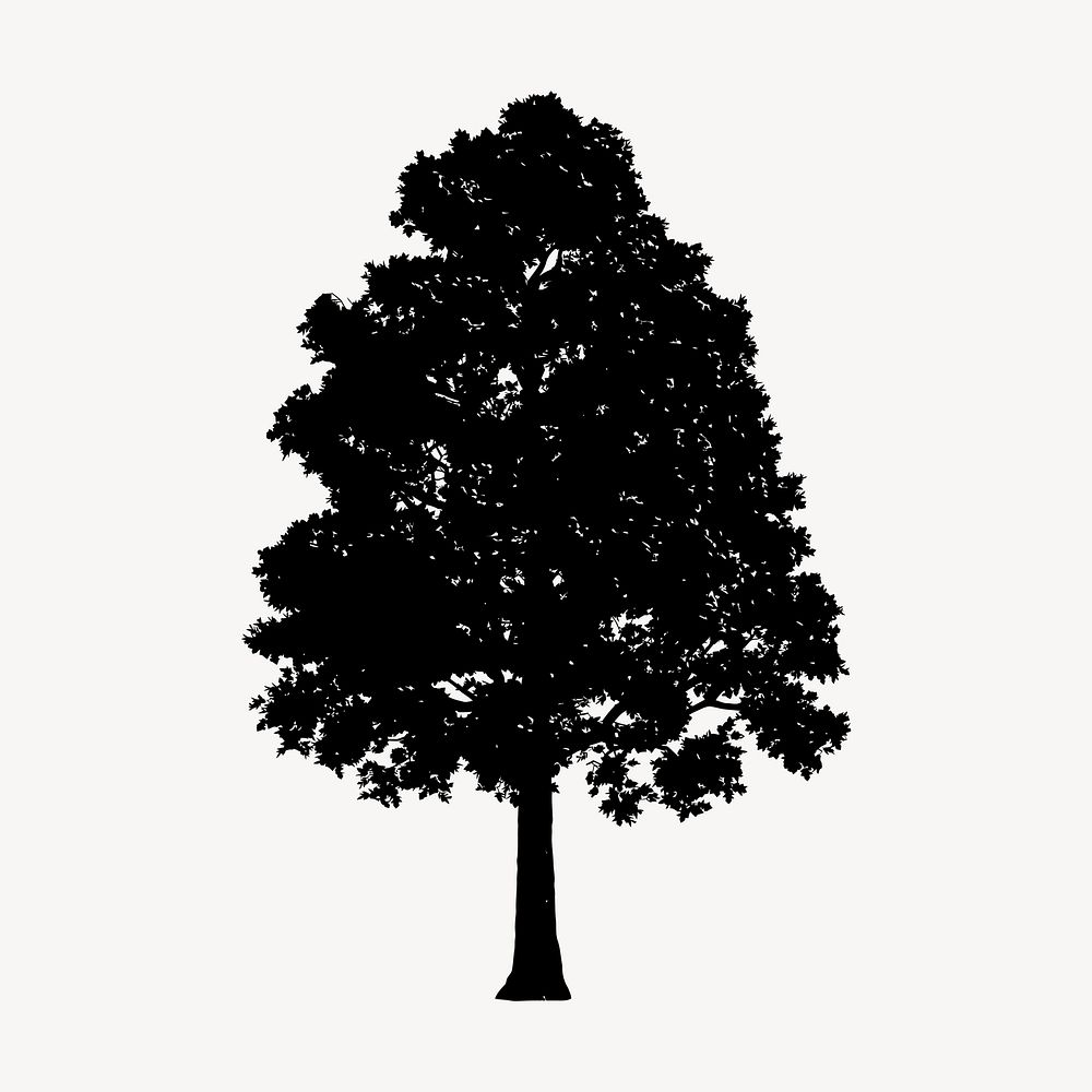 Pin Oak tree silhouette collage element, botanical illustration psd. Free public domain CC0 image.