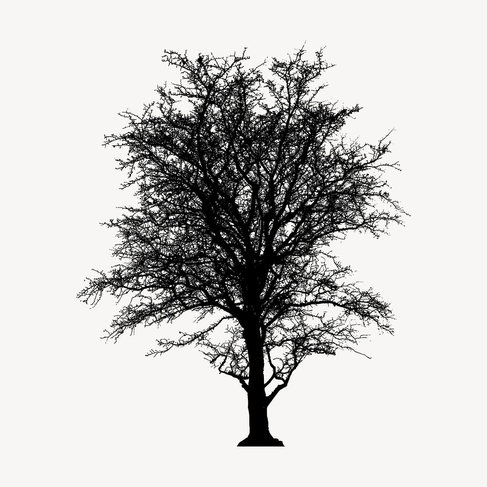 Leafless tree silhouette collage element, botanical illustration psd. Free public domain CC0 image.