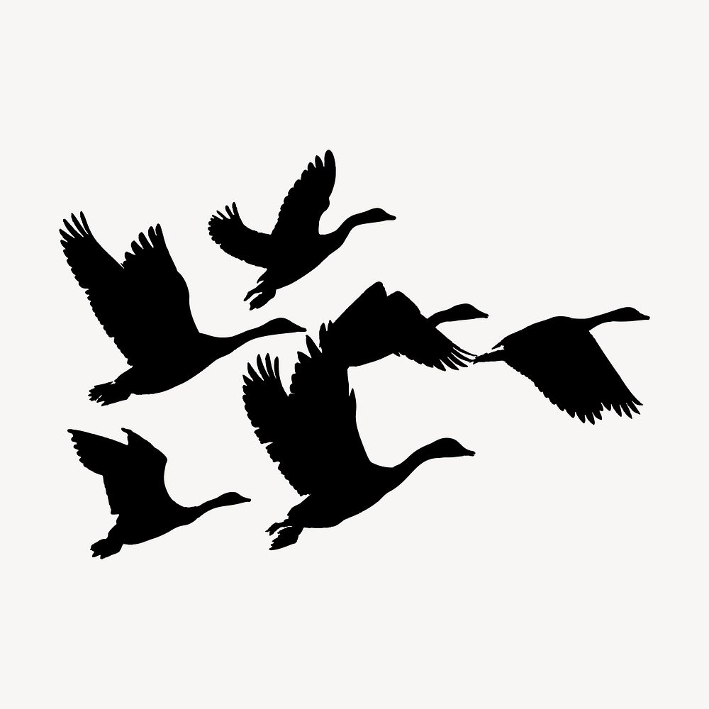 Flying goose silhouette clipart, animal illustration in black vector. Free public domain CC0 image.