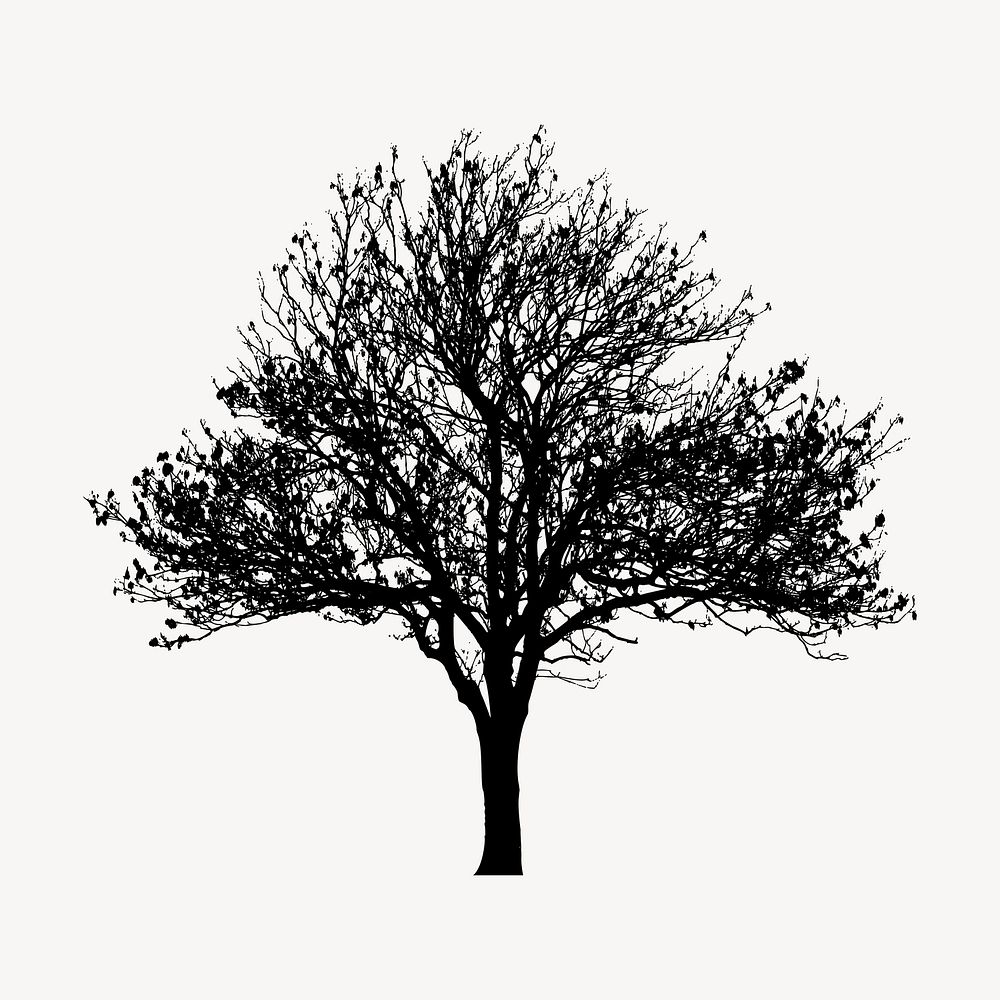 Magnolia Kobus tree silhouette collage element, botanical illustration psd. Free public domain CC0 image.