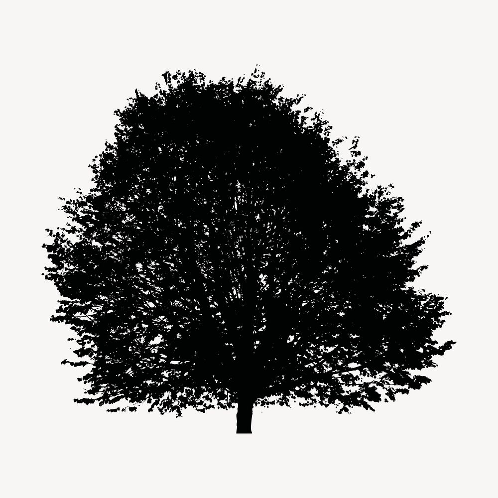 Deciduous tree silhouette clipart, botanical illustration in black. Free public domain CC0 image.