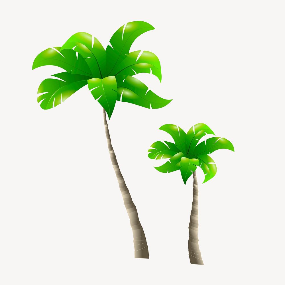 Palm tree clipart, botanical illustration. 