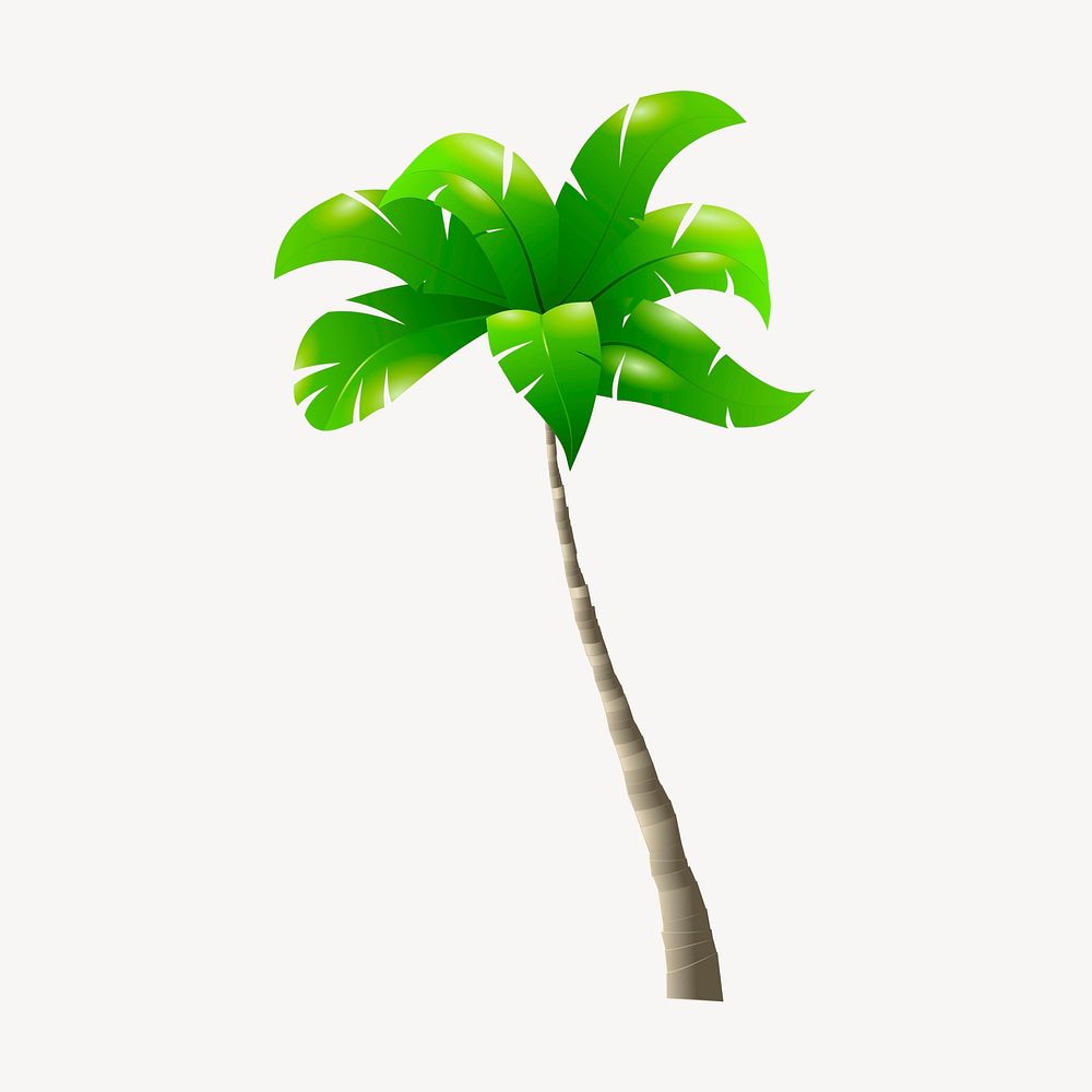 Palm tree clipart, botanical illustration. 