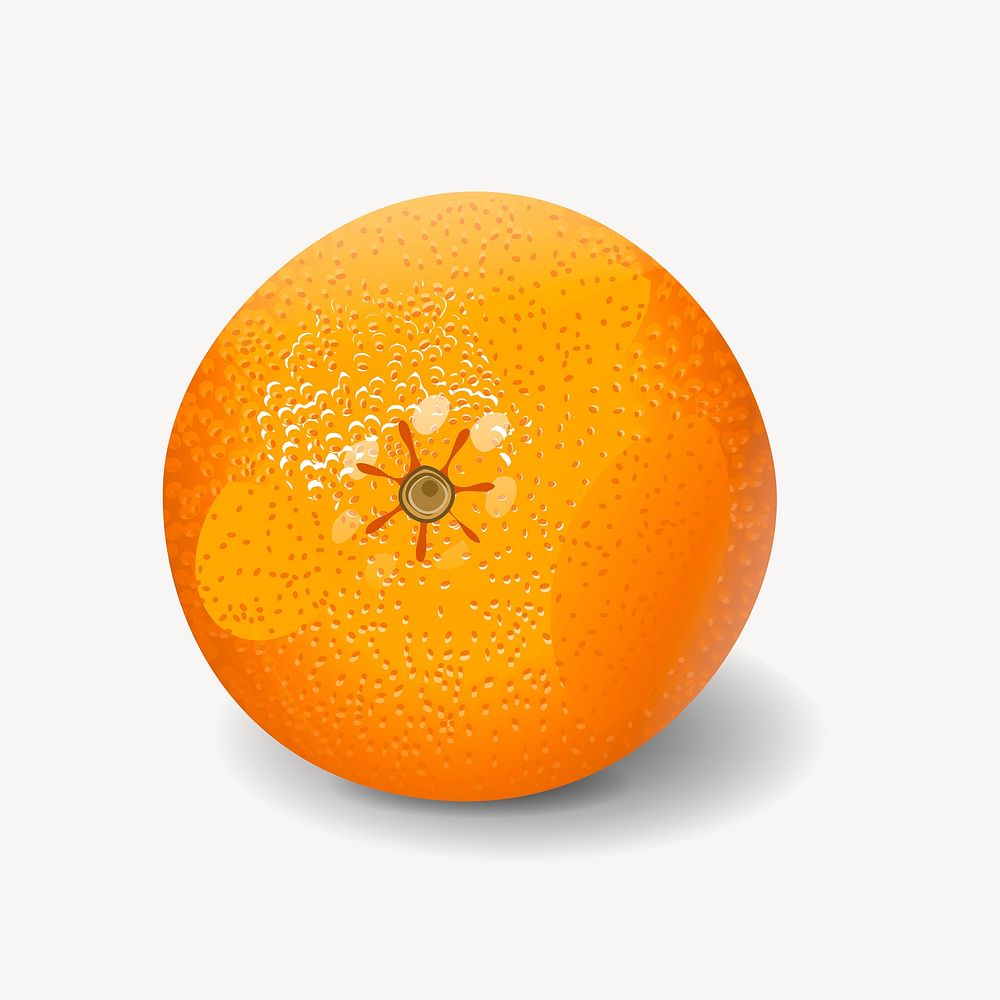 Tangerine clipart, fruit illustration. Free public domain CC0 image.