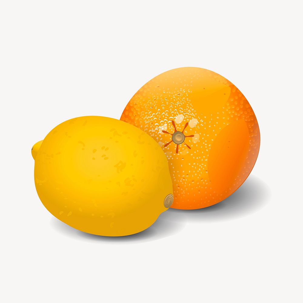 Citrus fruit clipart, food illustration. Free public domain CC0 image.