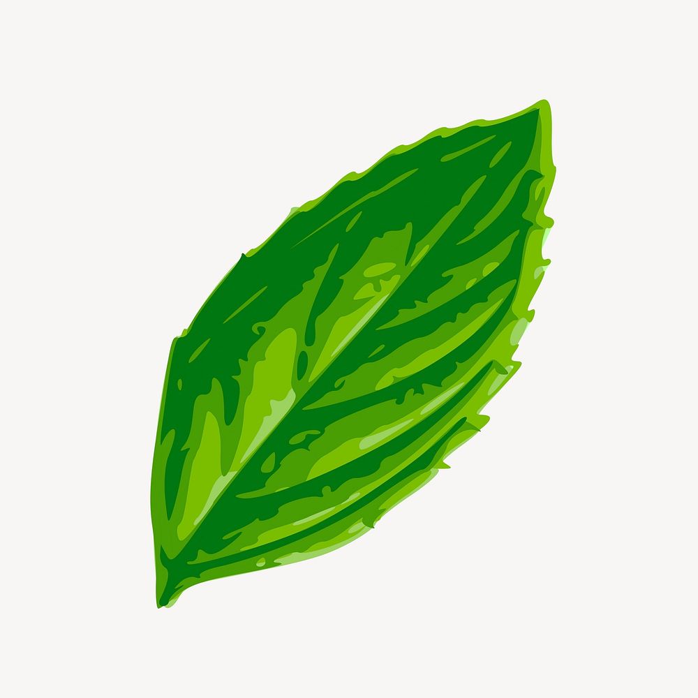 Green leaf clipart, botanical illustration. Free public domain CC0 image.