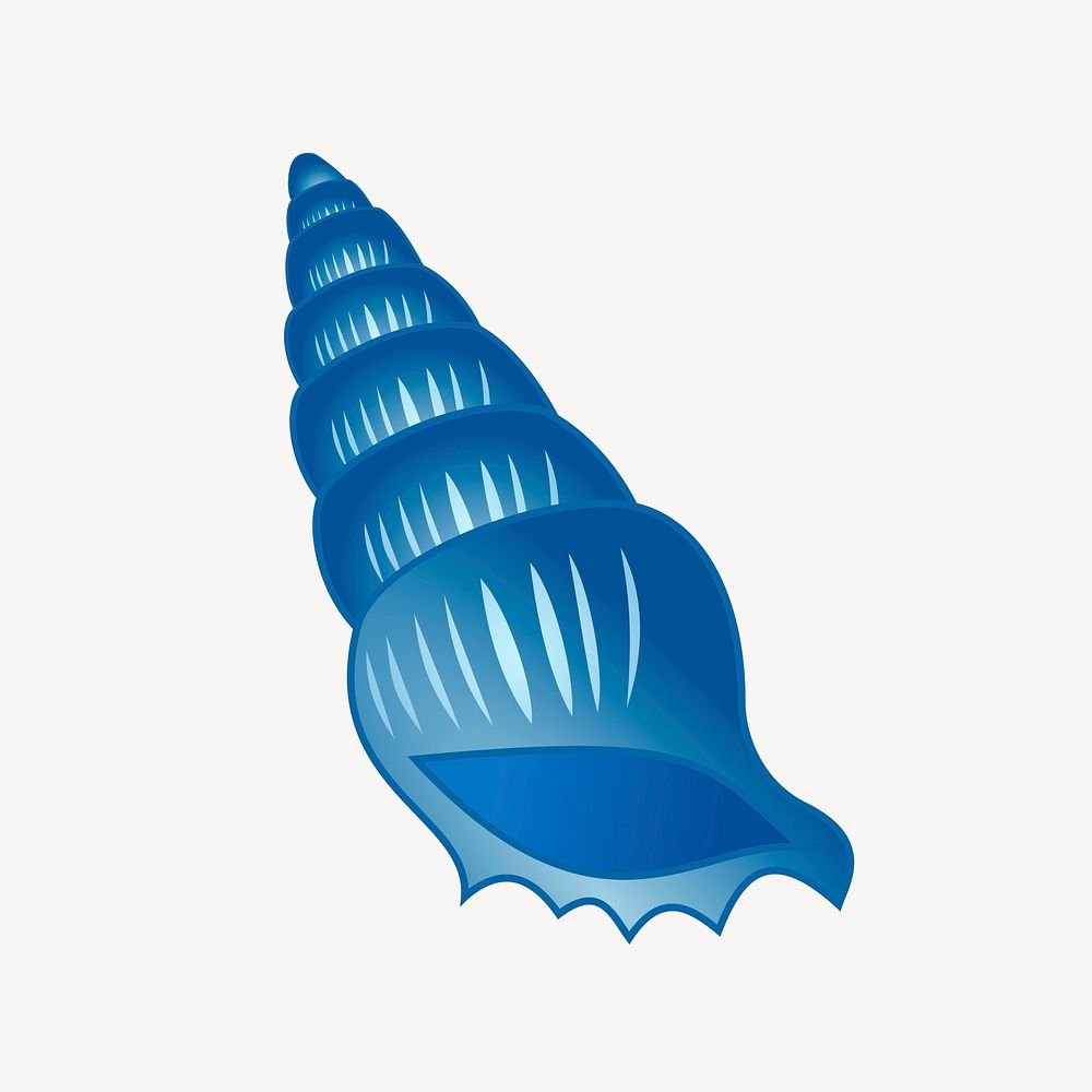 Seashell clipart, marine life collage element. Free public domain CC0 image.