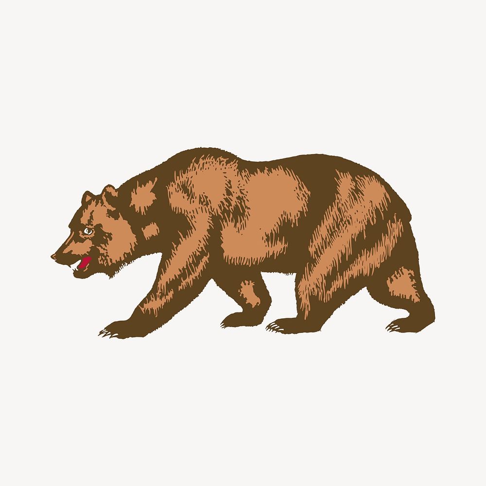 Bear clipart, wildlife illustration. Free public domain CC0 image.
