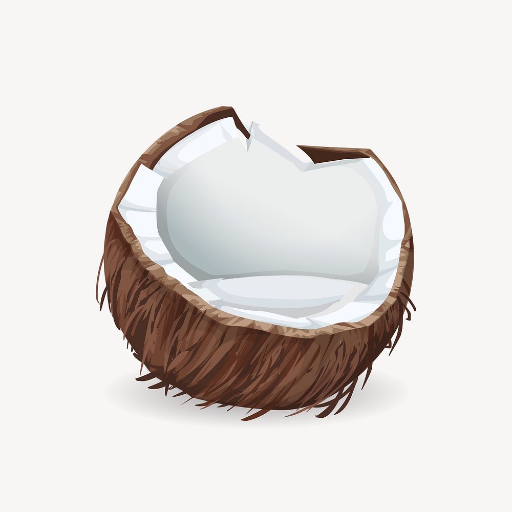 Coconut clipart, fruit illustration vector. Free public domain CC0 image.