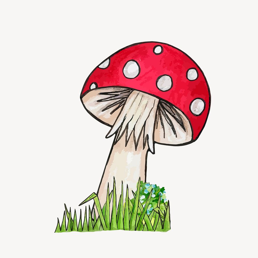 Mushroom clipart, botanical illustration. Free public domain CC0 image.