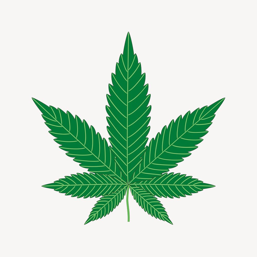 Cannabis leaf clipart, herb illustration. Free public domain CC0 image.