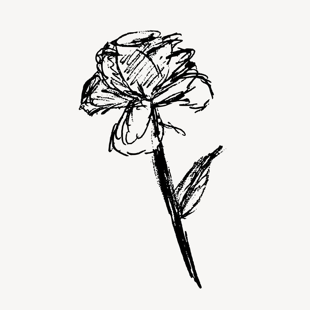 Rose sketch hand drawn, illustration vector. Free public domain CC0 image.