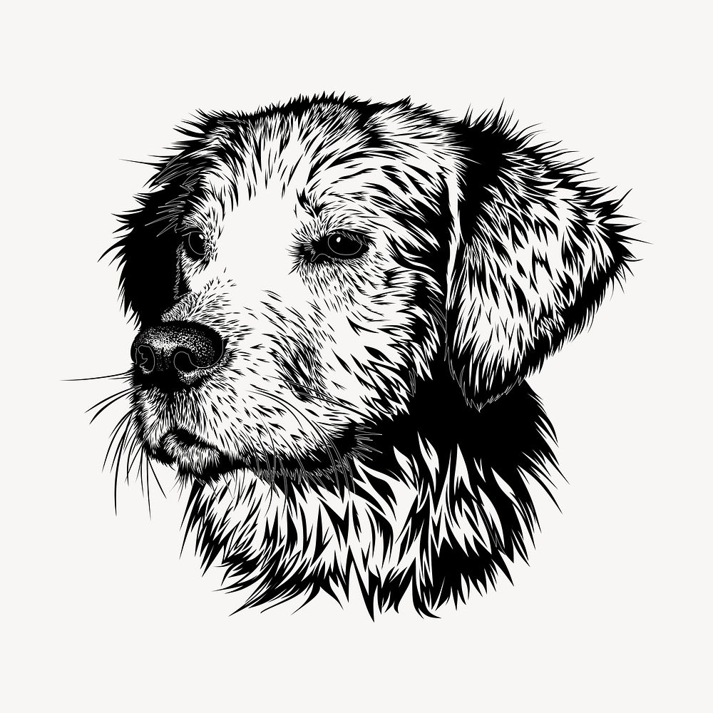 Golden Retriever dog hand drawn, illustration vector. Free public domain CC0 image.