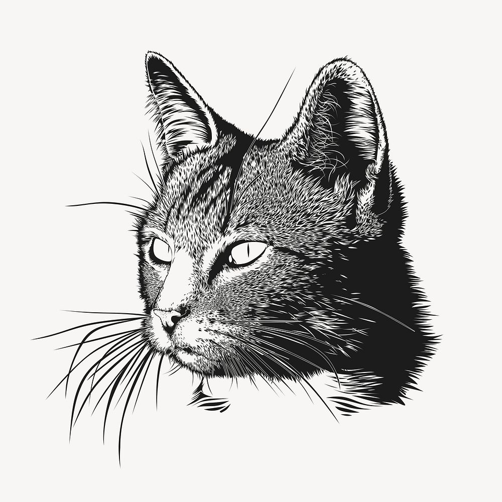 Cat portrait hand drawn, illustration vector. Free public domain CC0 image.
