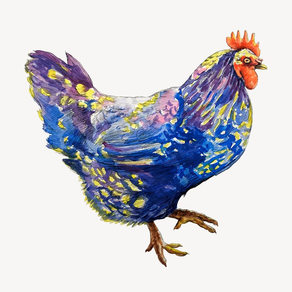 Blue chicken clipart, animal illustration vector. Free public domain CC0 image.