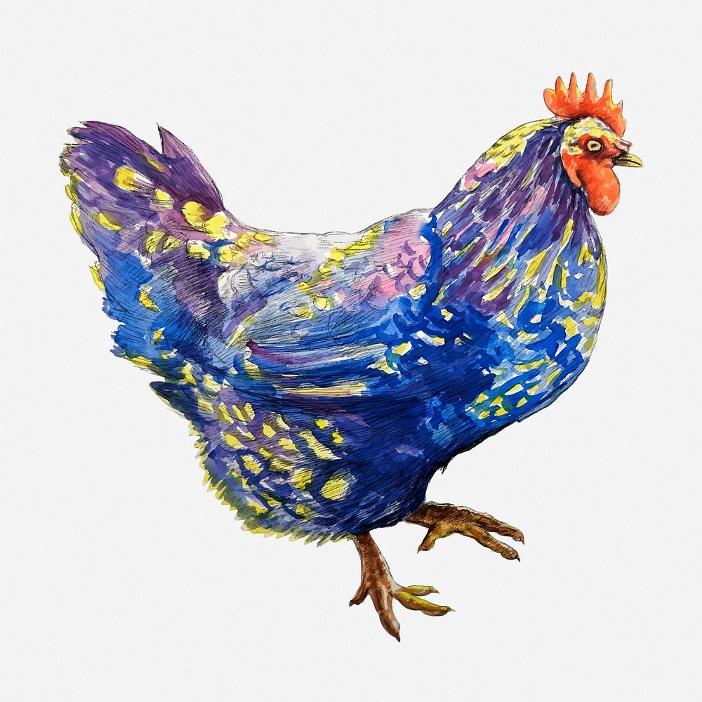 Blue chicken clipart illustration. Free public domain CC0 image.