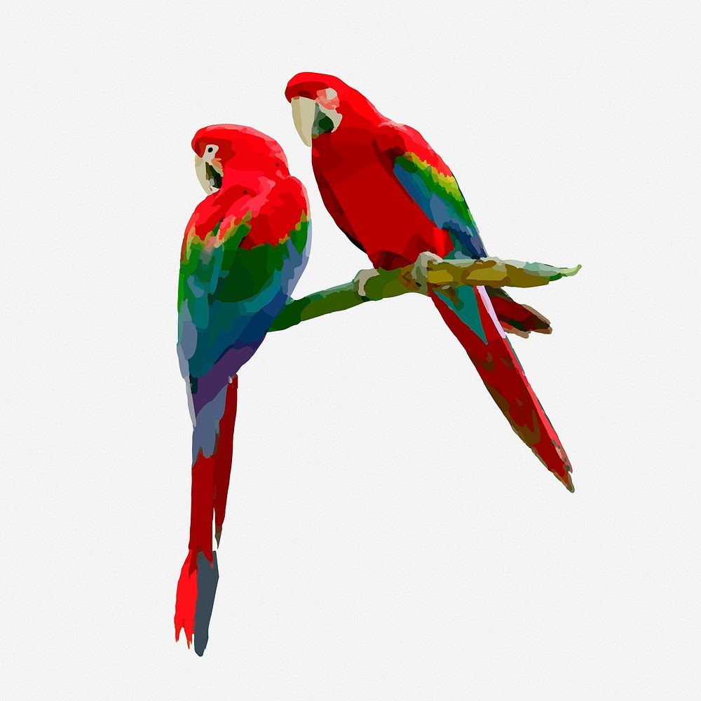 Parrot birds clipart illustration. Free public domain CC0 image.