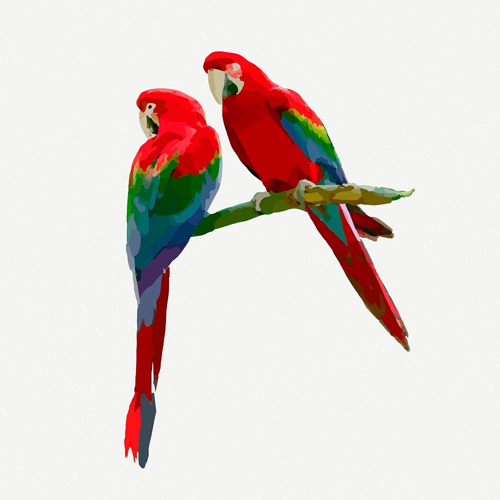 Parrot birds clipart, animal collage element illustration psd. Free public domain CC0 image.