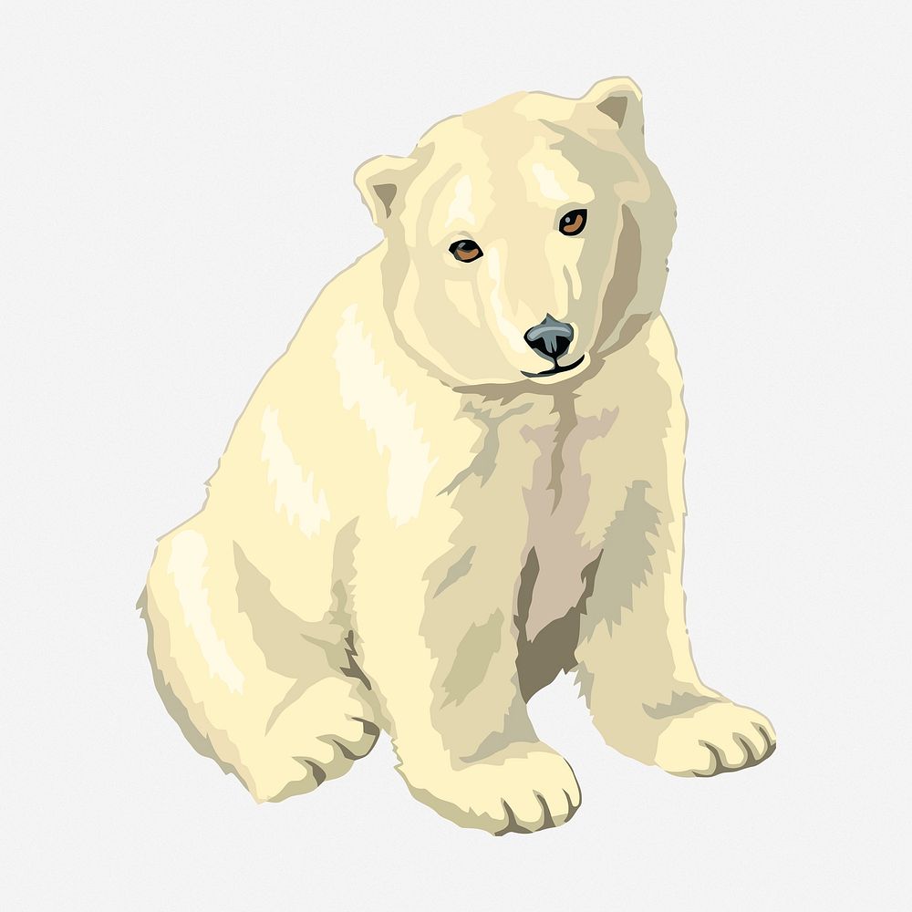 Polar bear baby clipart illustration. Free public domain CC0 image.