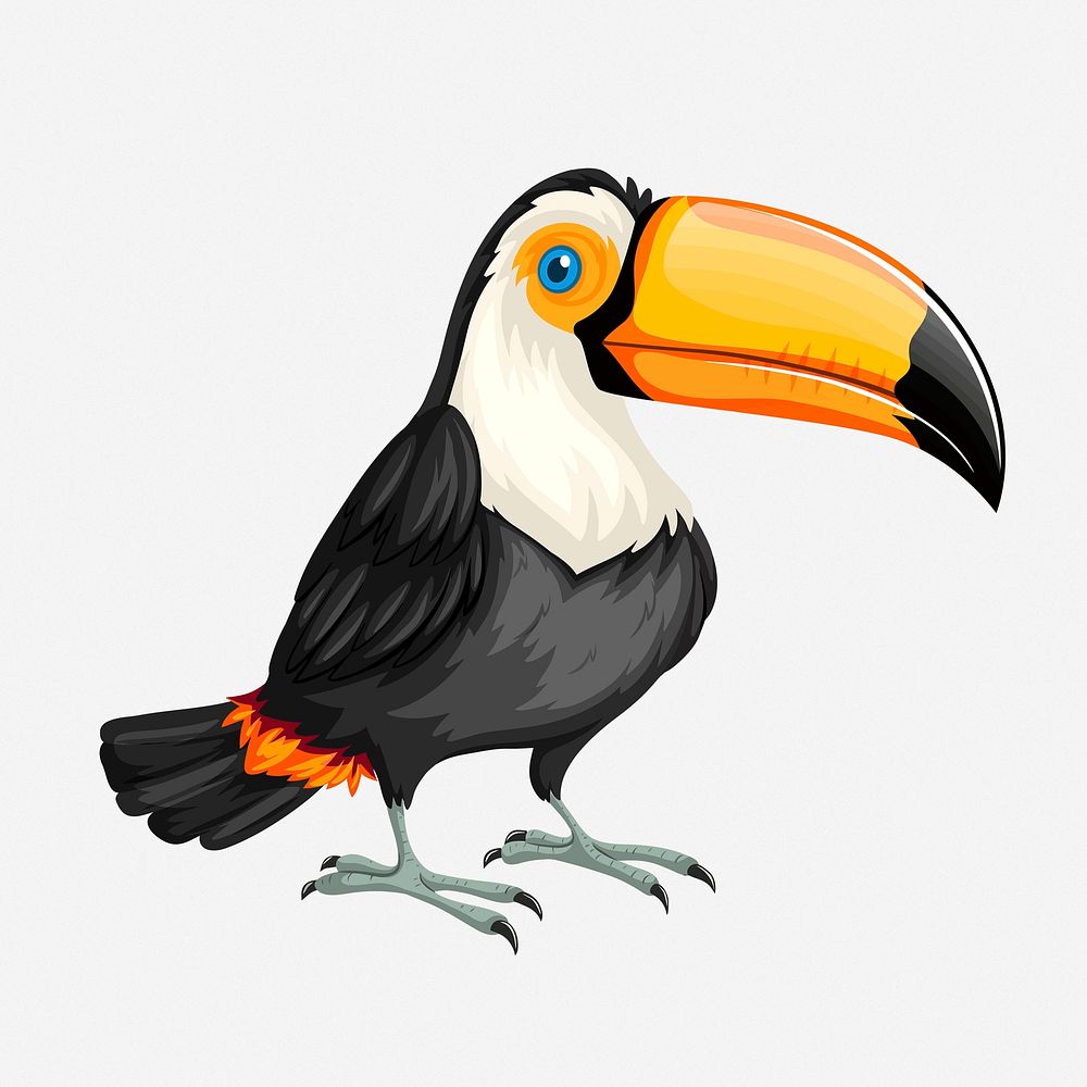 Toucan bird clipart illustration. Free public domain CC0 image.