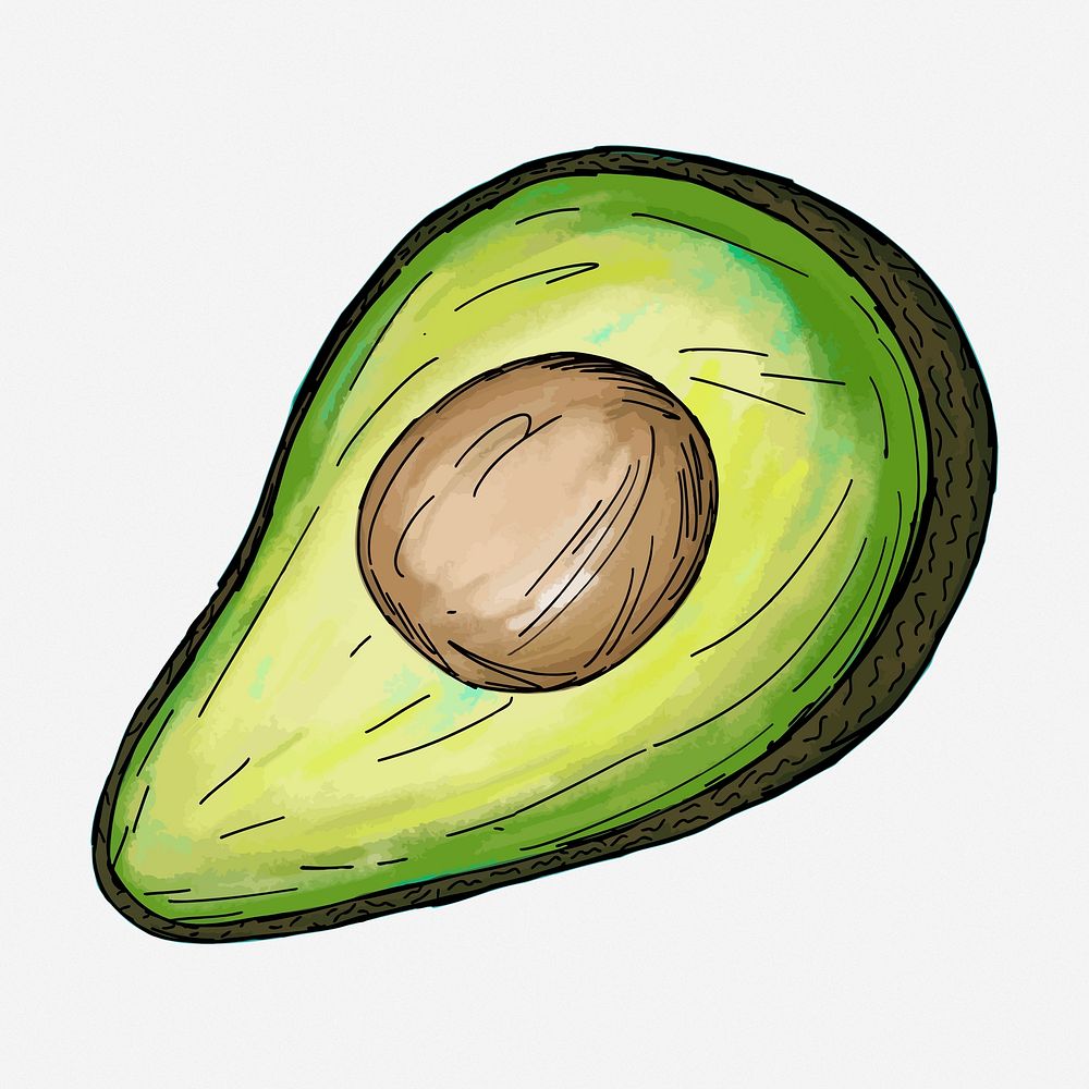Avocado food hand drawn illustration. Free public domain CC0 image.