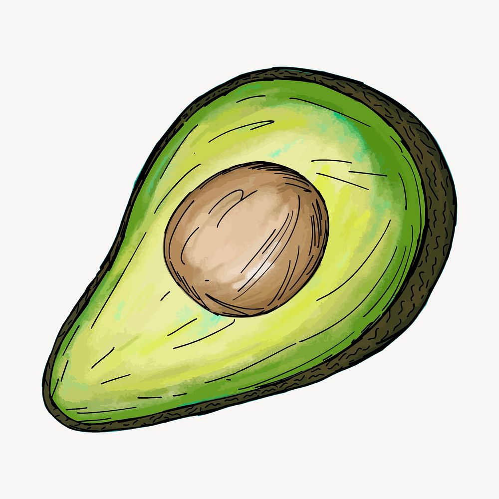 Avocado food hand drawn, illustration vector. Free public domain CC0 image.