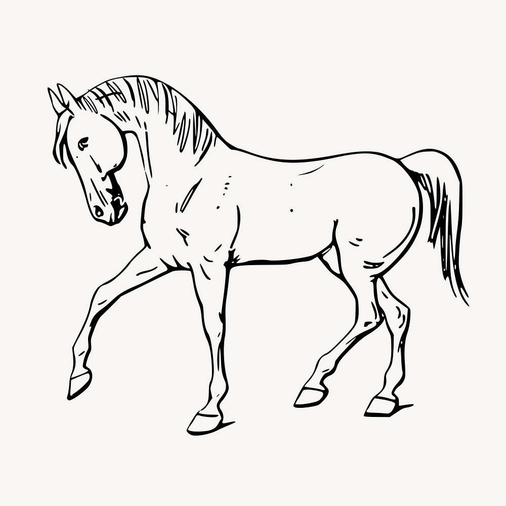 Walking horse line art, animal illustration vector. Free public domain CC0 image.