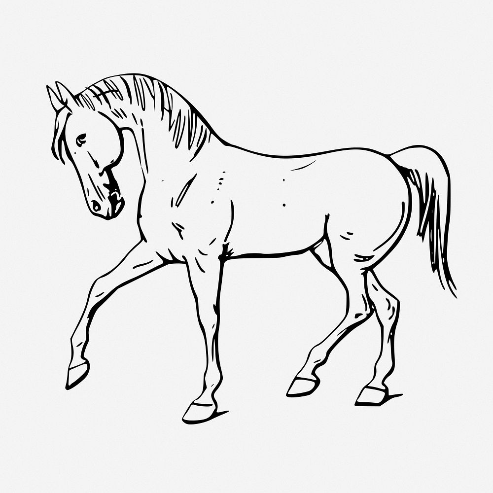 Walking horse line art, animal hand drawn illustration. Free public domain CC0 image.
