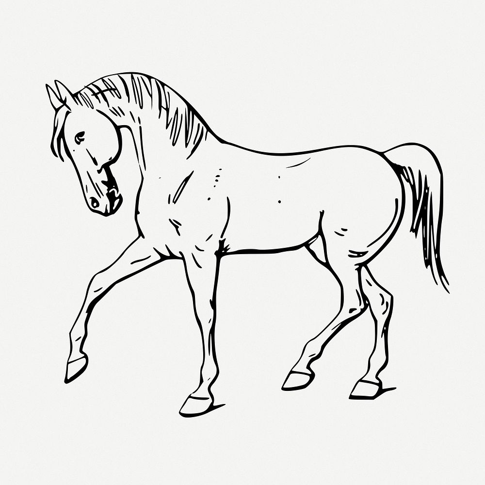 Walking horse line art, animal illustration psd. Free public domain CC0 image.